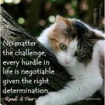 1 challenges