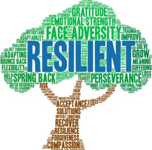 Personal and Professional Resilience
